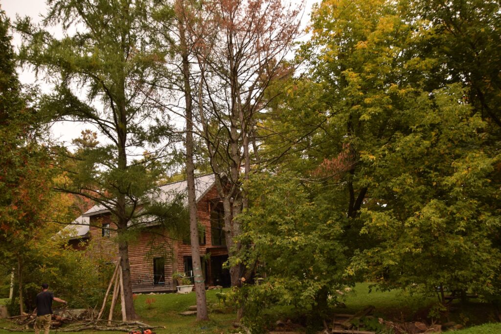 Travaux d’abattage en Estrie, près d’une maison entourée d’arbres.