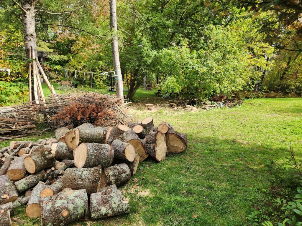 Sections de tronc et branches au sol après des travaux d’arbres en Estrie.